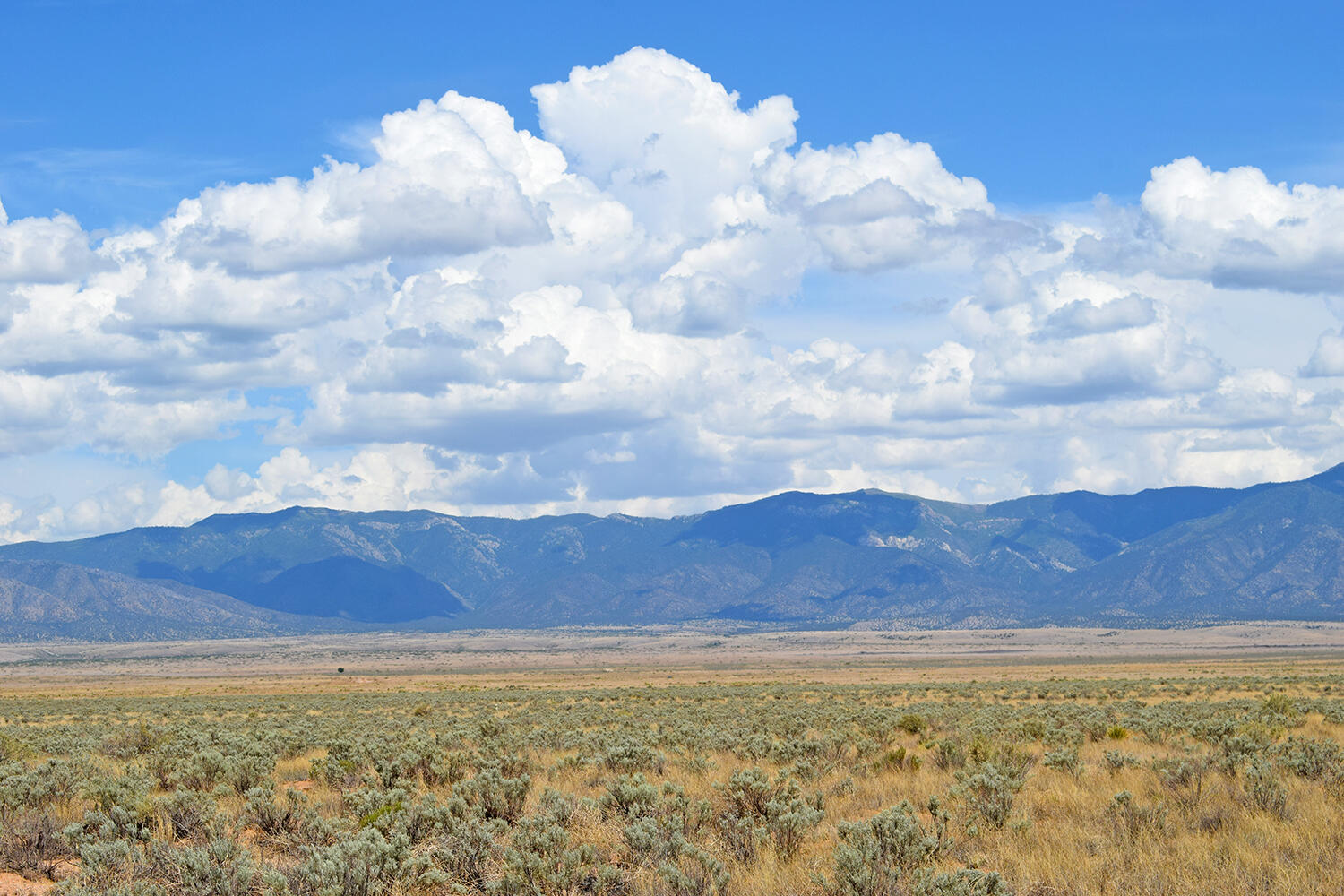 Photo 15 — Lot 13 Rio Del Oro 7