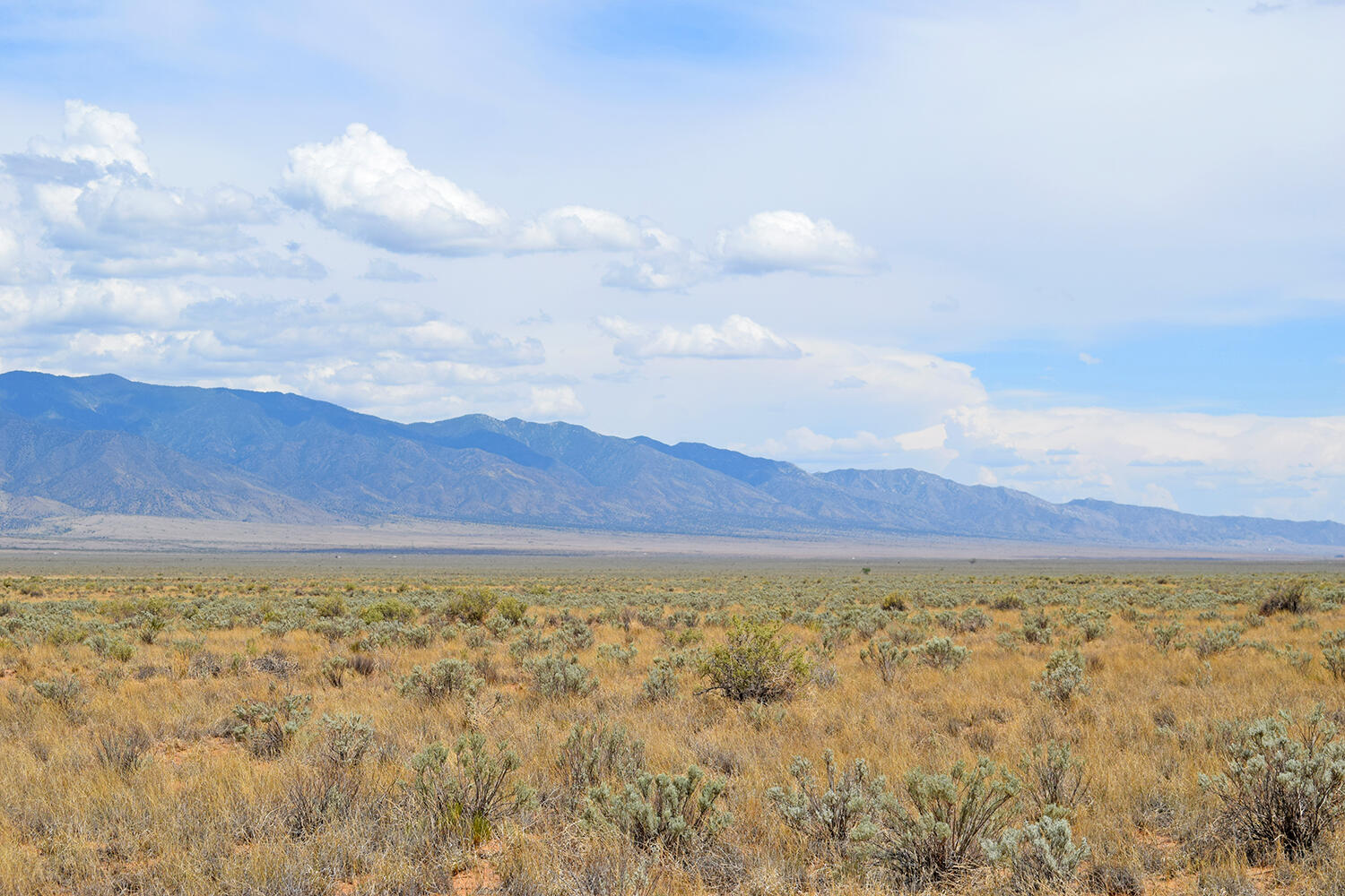 Photo 17 — Lot 13 Rio Del Oro 7