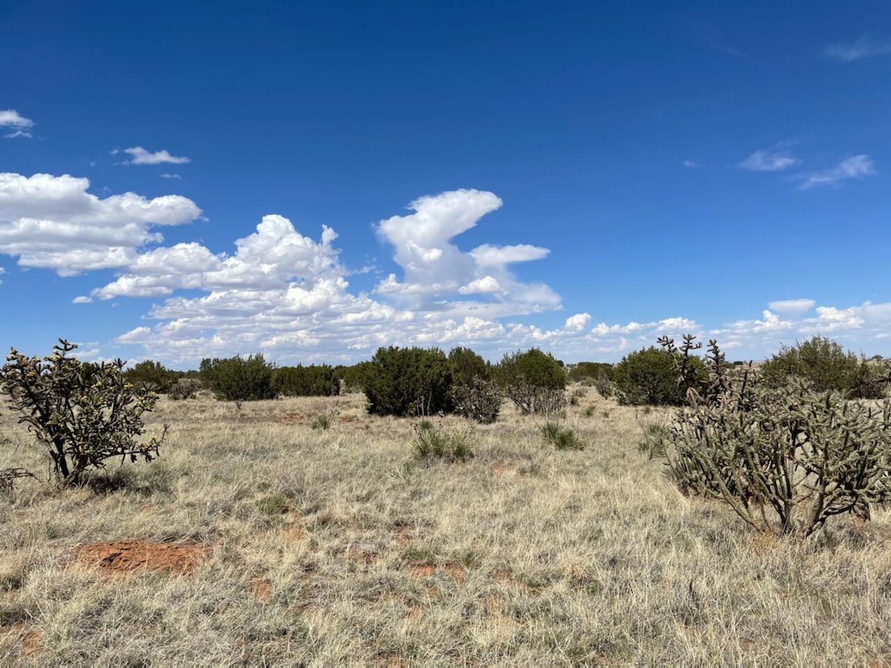 Lots 10 & 1, Manzano, NM 87016