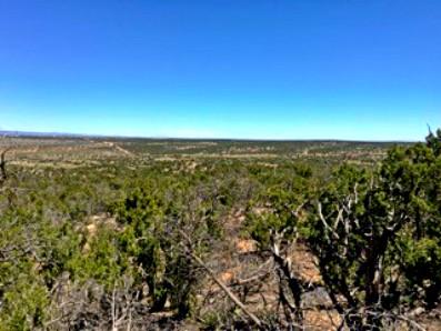 Photo 6 — 1158 Deer Canyon Trail