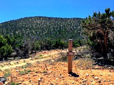 Photo 5 — 1158 Deer Canyon Trail