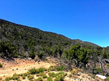 Photo 4 — 1158 Deer Canyon Trail