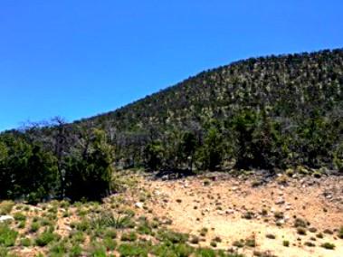 Photo 3 — 1158 Deer Canyon Trail