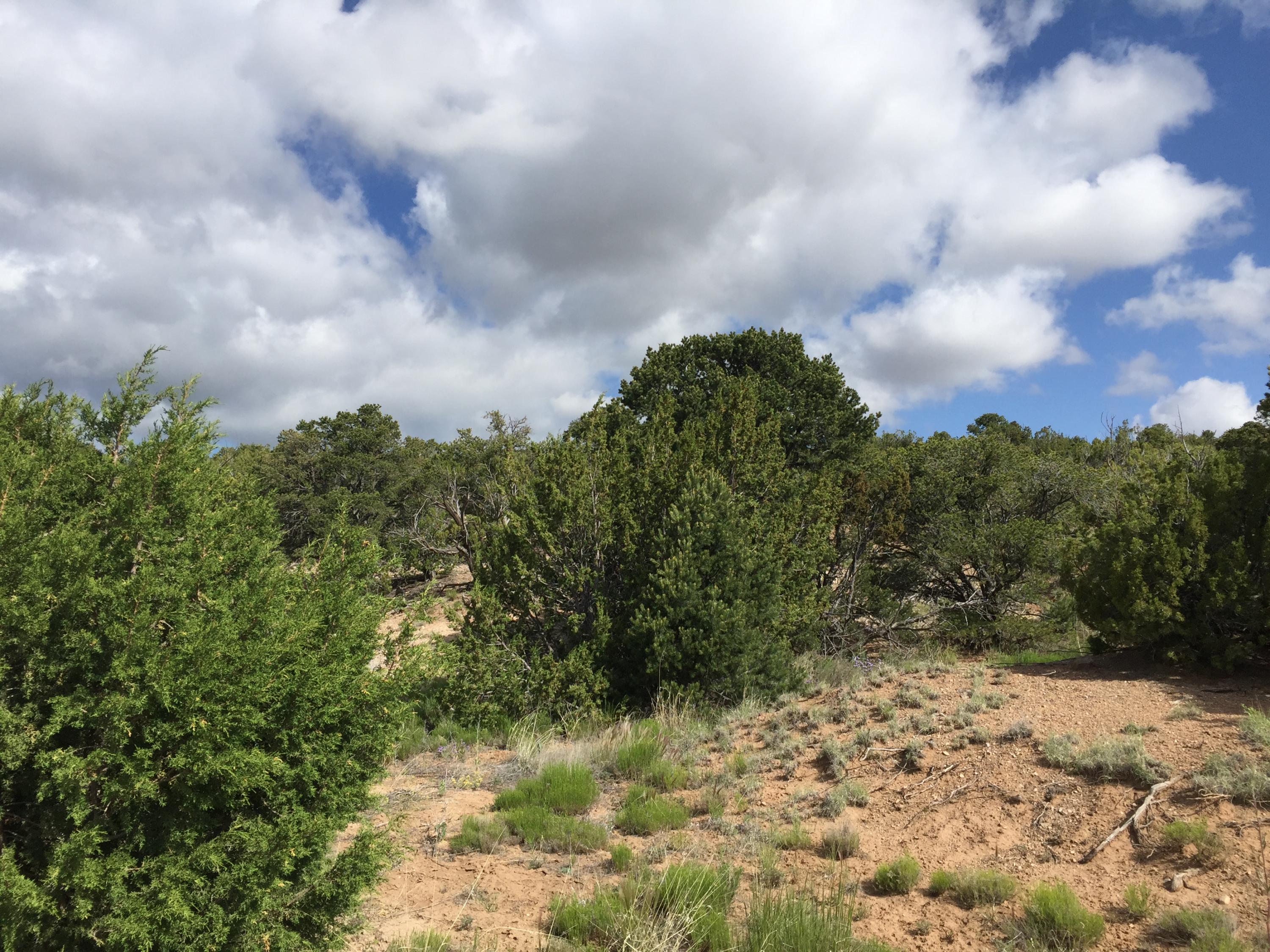 84 Rain Dance Road, Sandia Park, NM 87047