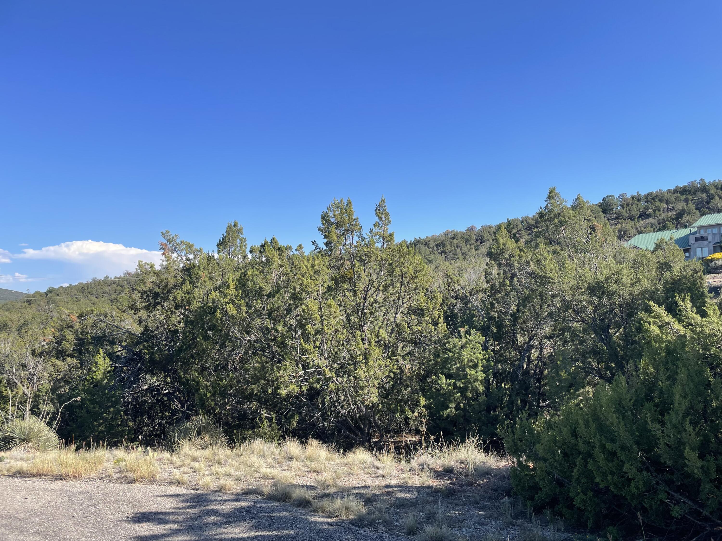 55 Canyon Ridge Drive, Sandia Park, NM 87047