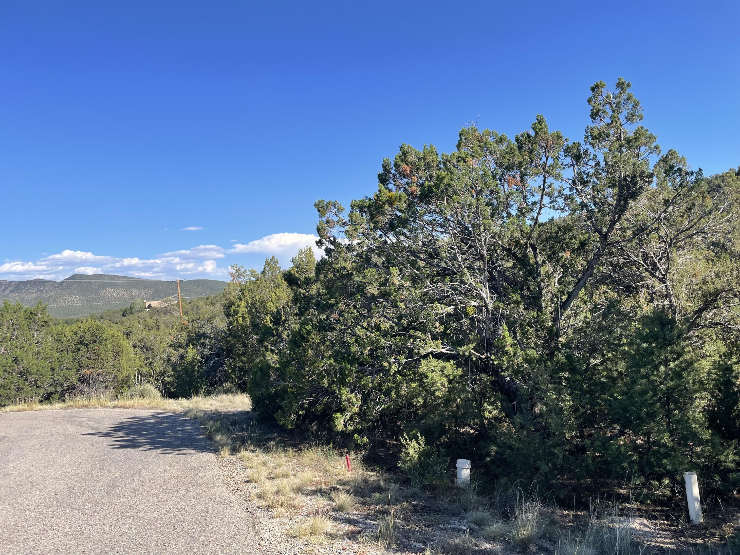 Photo 12 — 55 Canyon Ridge Drive