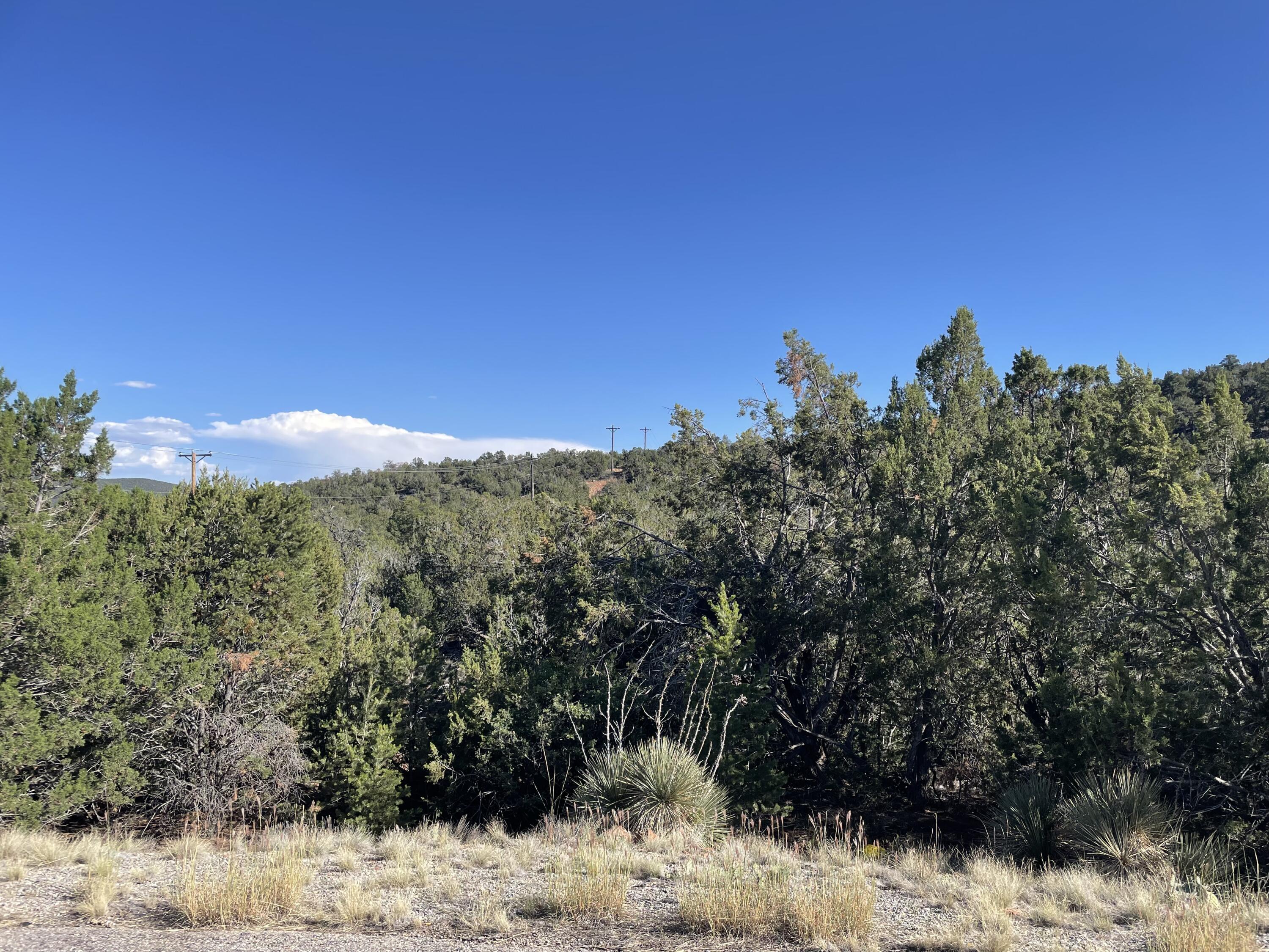 Photo 11 — 55 Canyon Ridge Drive