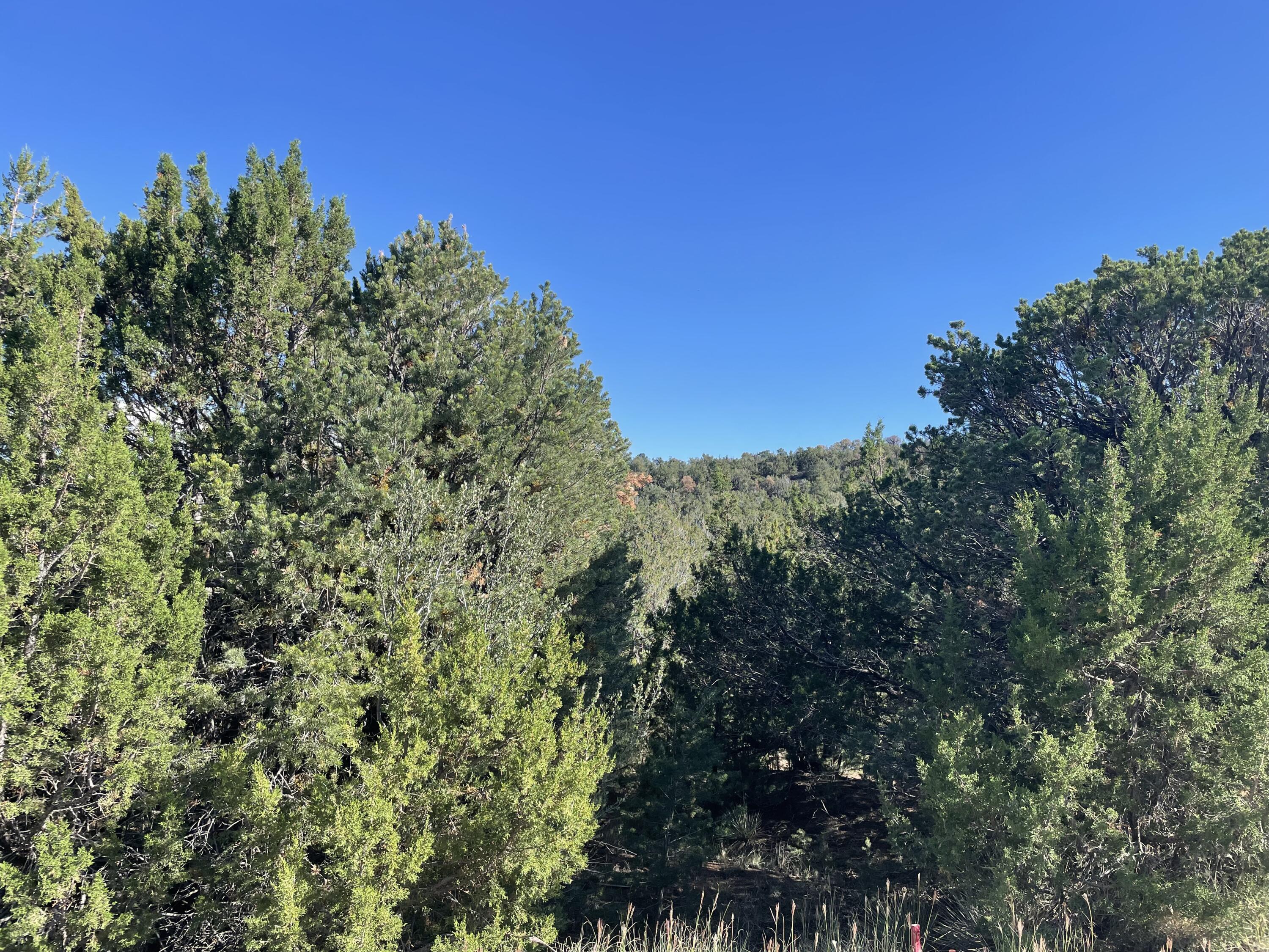 Photo 10 — 55 Canyon Ridge Drive