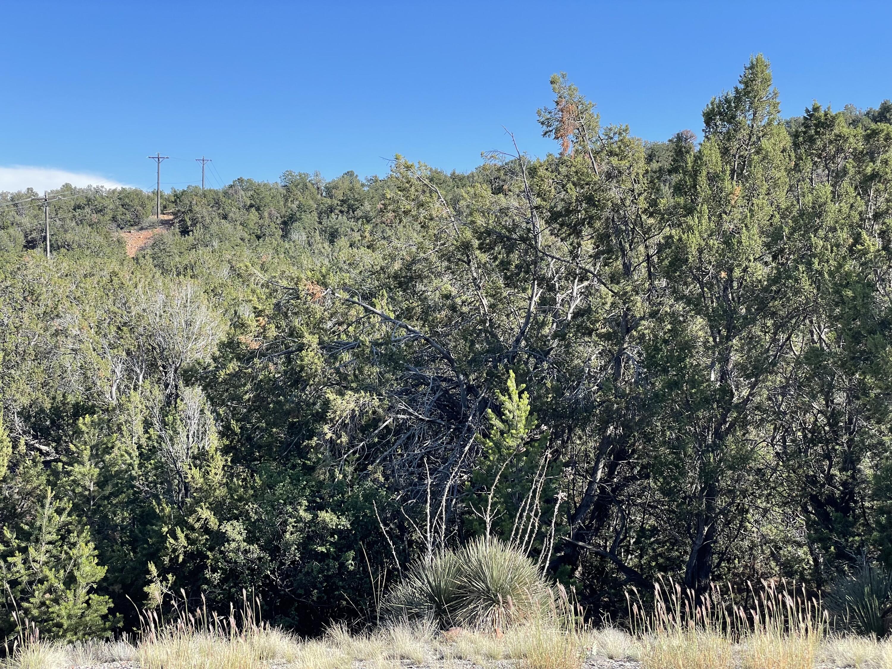 Photo 9 — 55 Canyon Ridge Drive