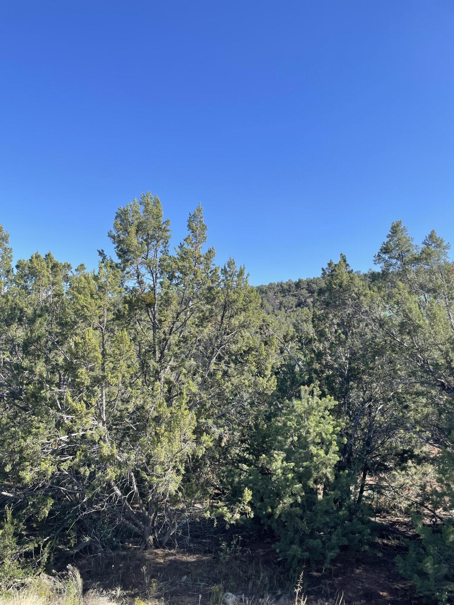 Photo 7 — 55 Canyon Ridge Drive